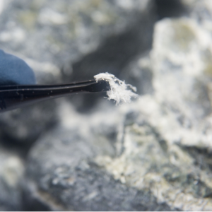 Asbestos Surveys