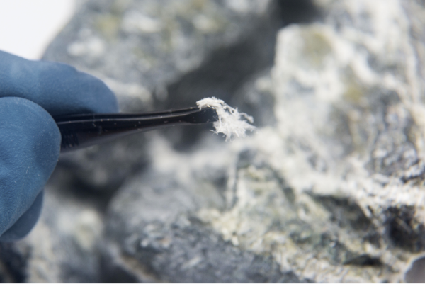 Asbestos Surveys